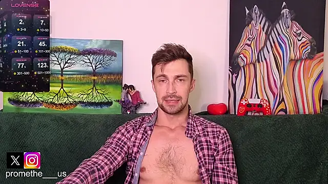 Promethe_us webcam