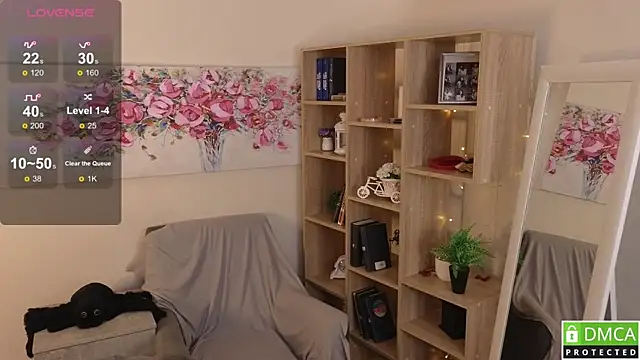 Sue_Sanders webcam