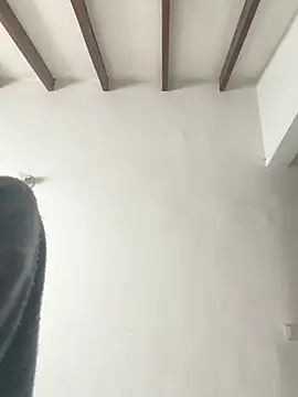 Arilw webcam