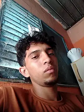 Noscay webcam