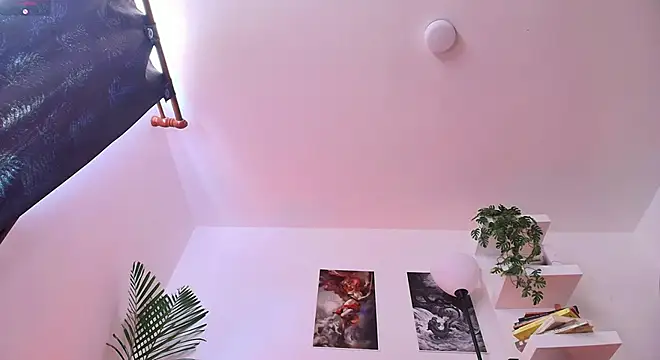 andyypalmer_ webcam