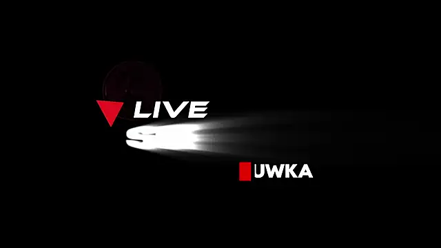 Alvuwkaa webcam