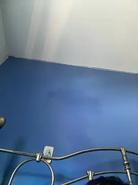 stevo170t webcam