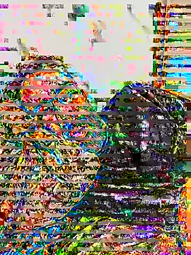 Tiojhonny webcam