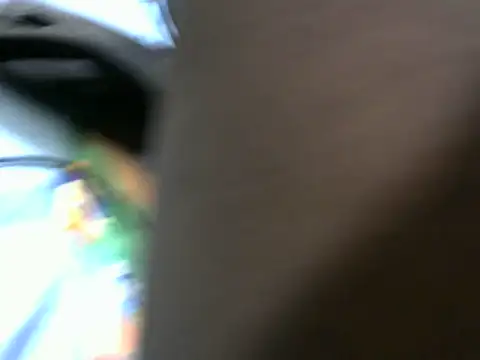 playfullnova's live room