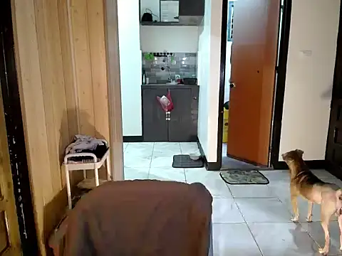 jakoloten webcam