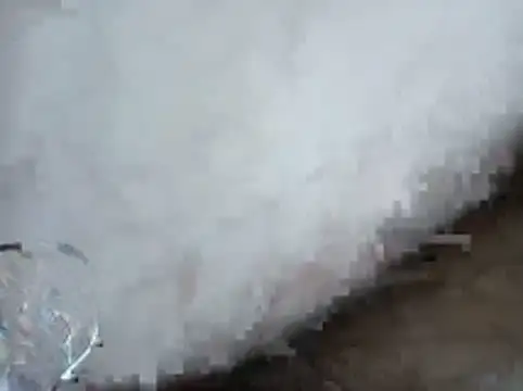 makodyrty webcam