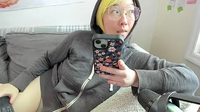 luxgray webcam