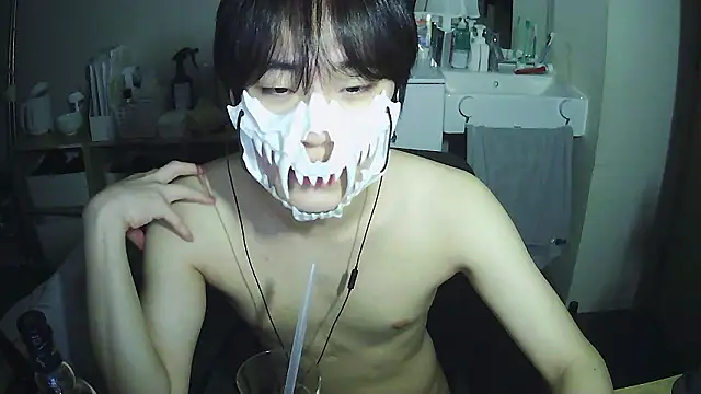 sdamvo2 webcam