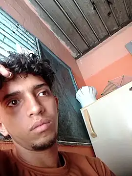 Noscay webcam