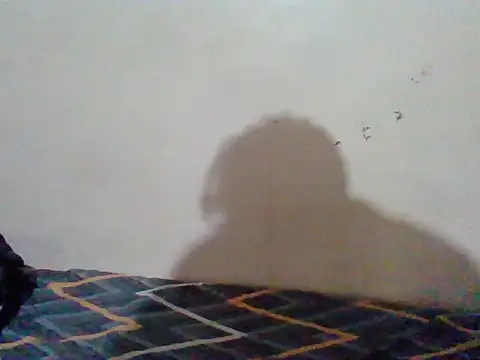 ShadowStreamX webcam