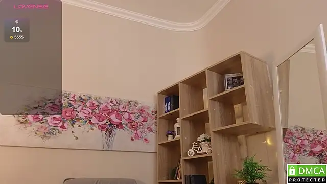Sue_Sanders webcam