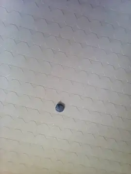 Codymc89 webcam