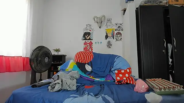 SonSett webcam