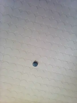 Codymc89 webcam