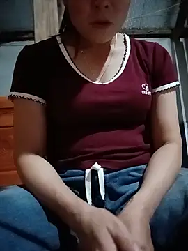 Ht_orio webcam