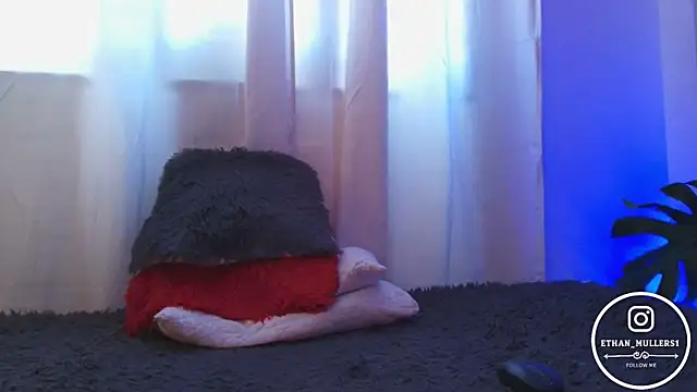 Ethan_mullers webcam