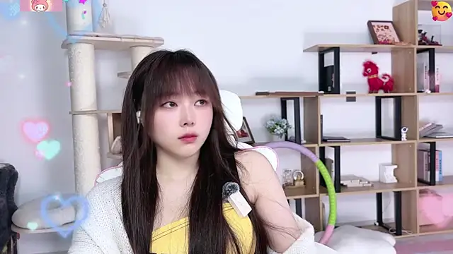 SakuraCat6 webcam