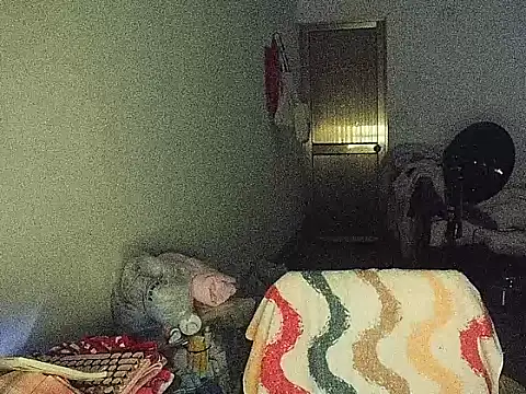 RebelAura webcam