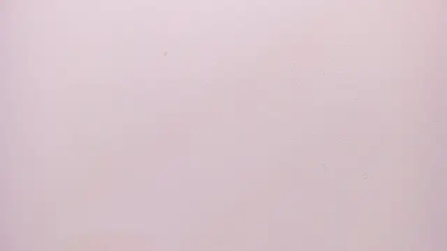 zurismith webcam
