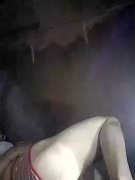 Seiciz webcam