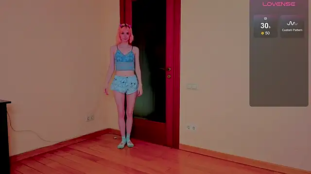 fleximona webcam