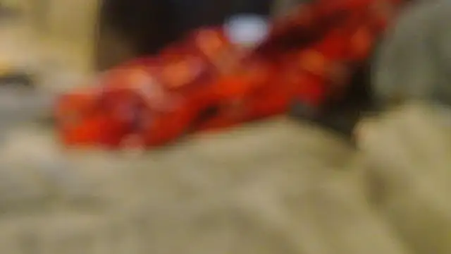 snickers1 webcam