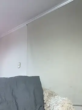 Samispank webcam