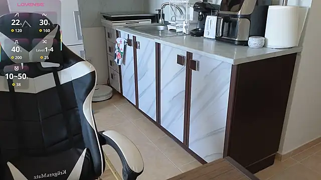RyanStorm_ webcam