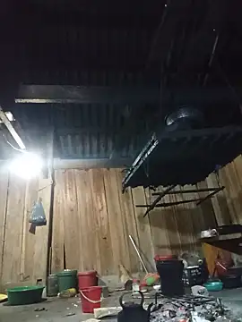 Ngocmi909 webcam