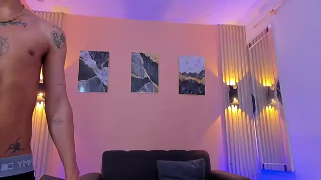 Marcus_and_Tony webcam