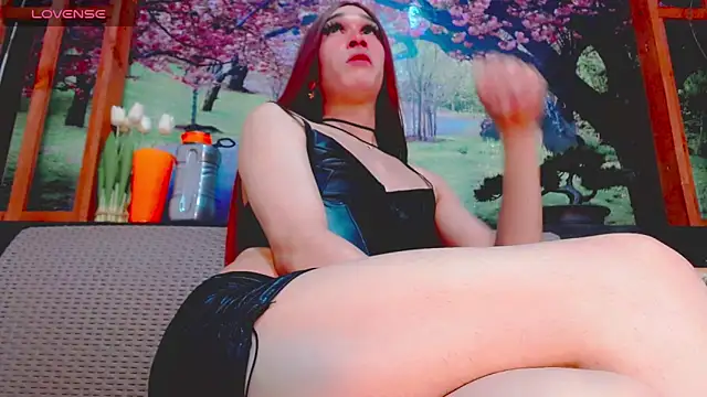 britanny_noroeste webcam