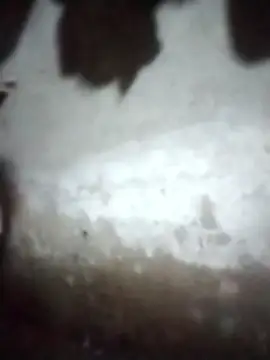 Sea-ice webcam
