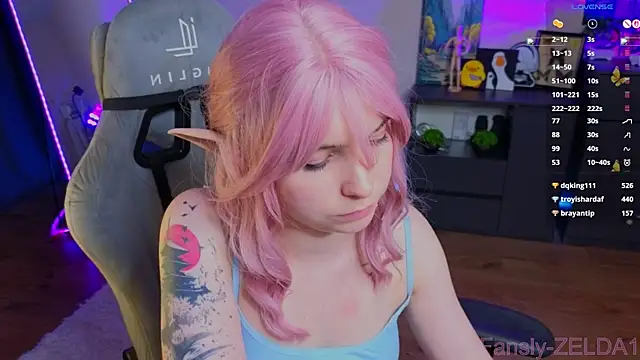 zelda_1 webcam