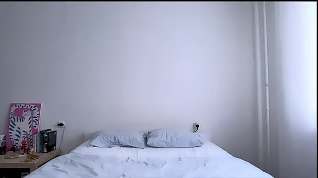 Milky___Way webcam
