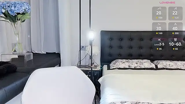 lvy-w webcam