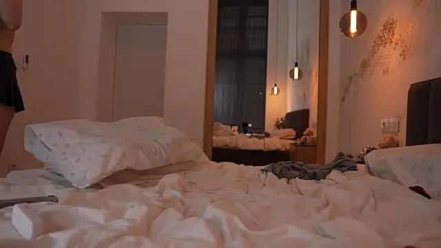 ibiddi webcam