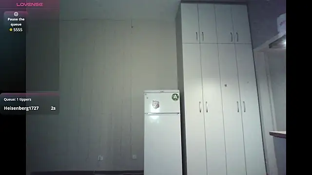 dozygleam webcam