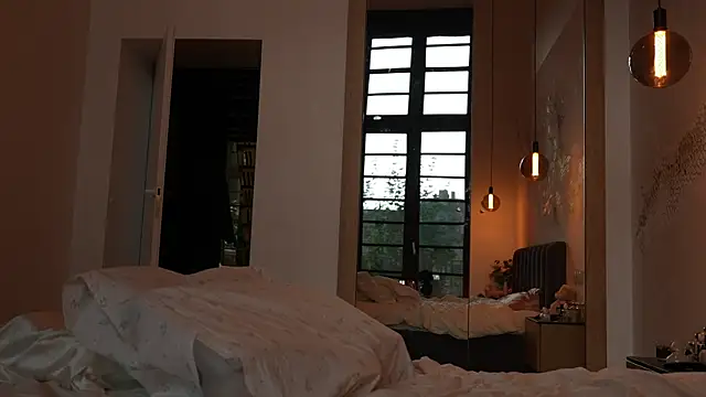 ibiddi webcam
