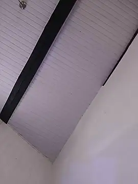 AttractiveSilk5 webcam