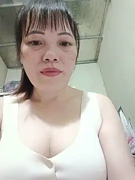 Sana-vn webcam