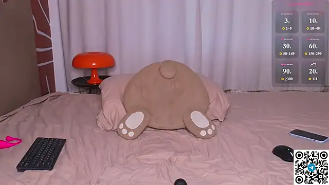 EvaCroan webcam