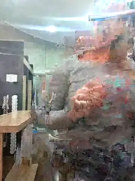 prretty15 webcam