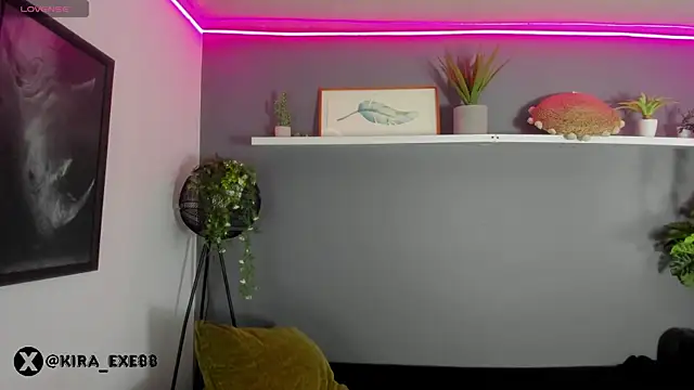 Kira_Exe_ webcam