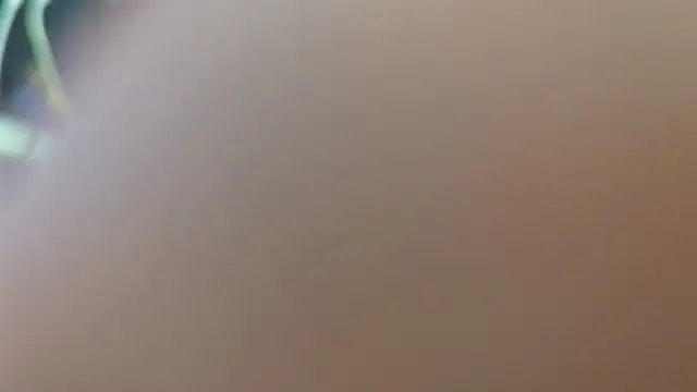 Ashtaylorxxx webcam