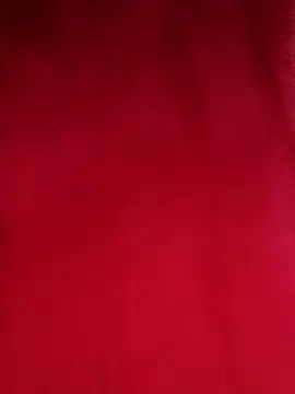 Bela14