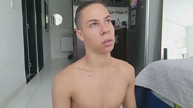 grey___27 webcam