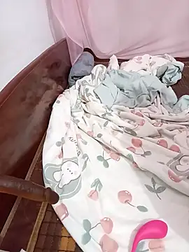 Phoebe-e webcam