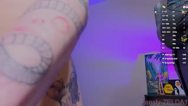 zelda_1 webcam