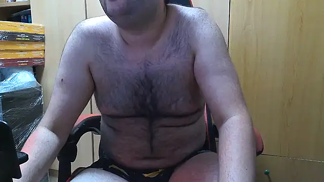 Javier_bear webcam